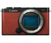 Panasonic LUMIX S9